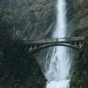 Meet your Posher, Carl